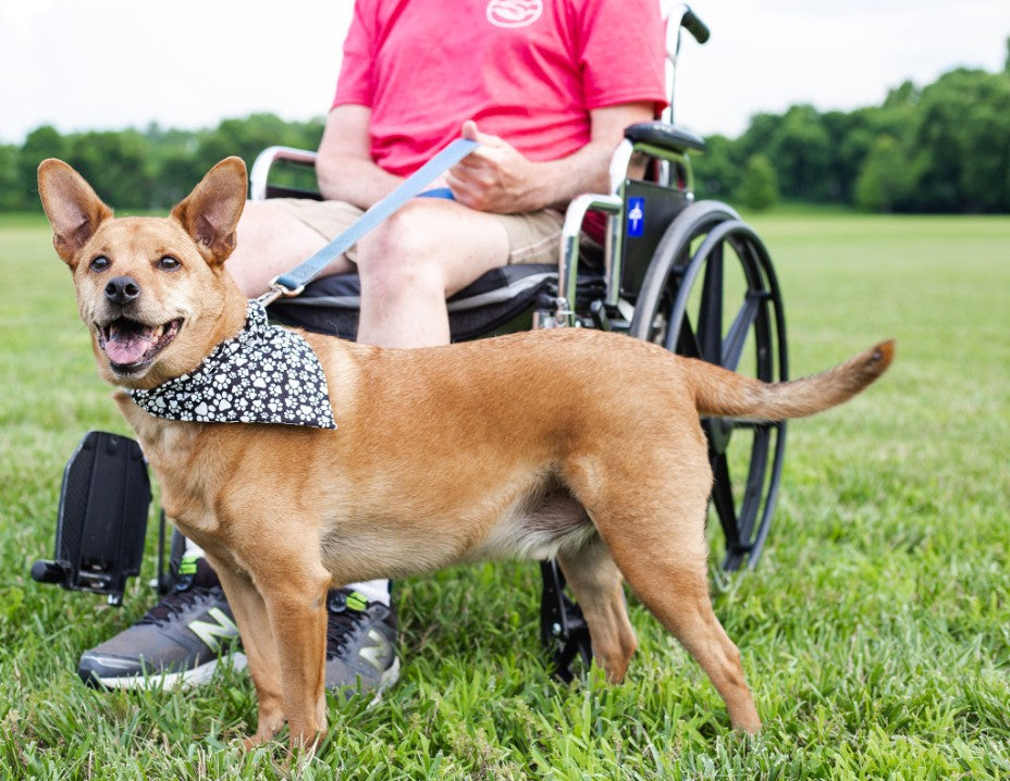 Uncle Andy sits in his wheelchair holding his dog, Alex. Alex is wearing a bandana that is sold by Alex And Andy. 