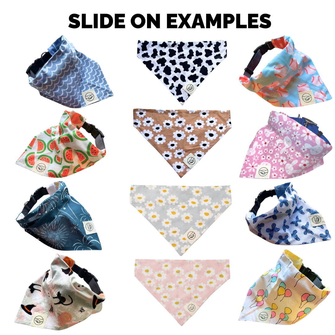 Mystery Dog And Cat Bandanas