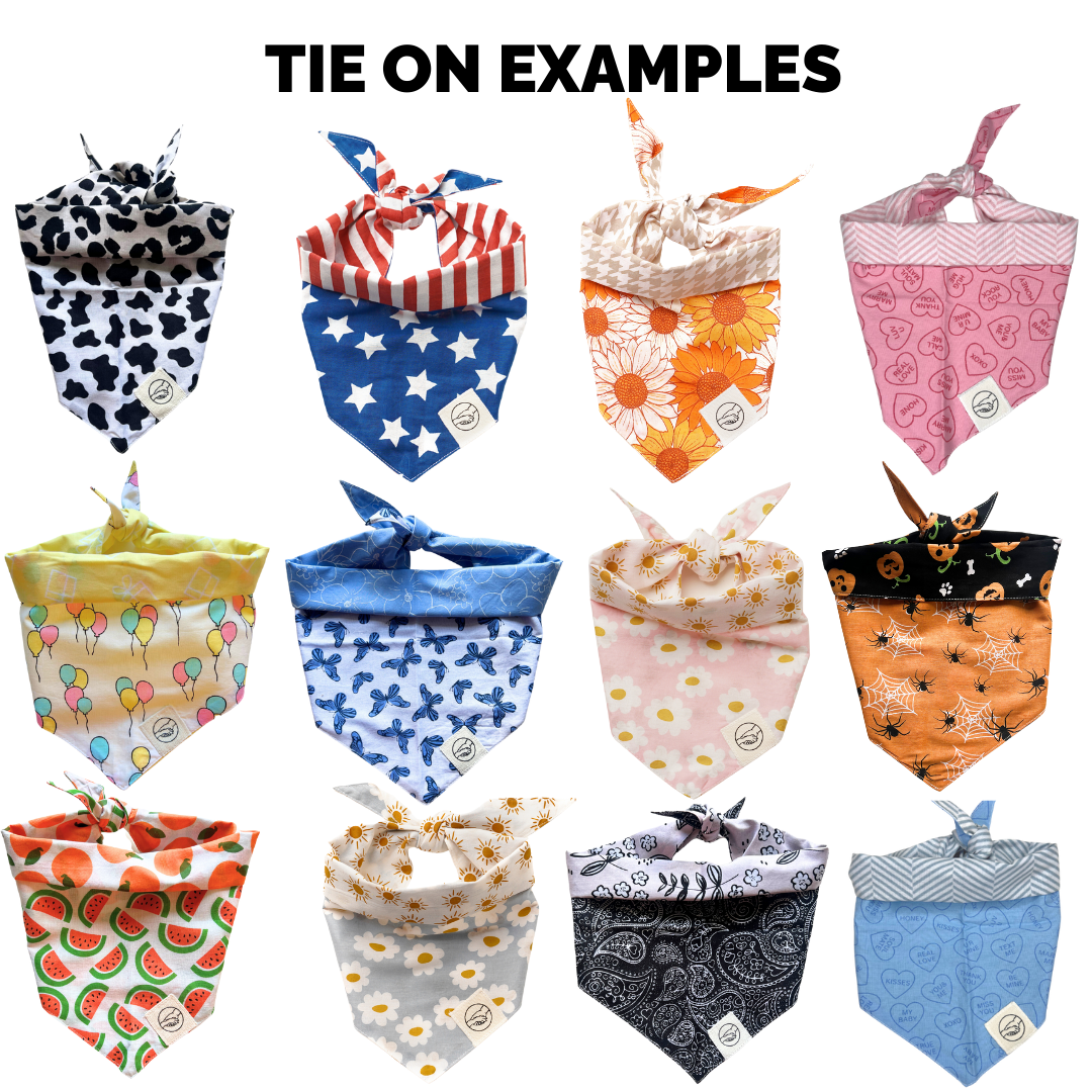 Mystery Dog And Cat Bandanas