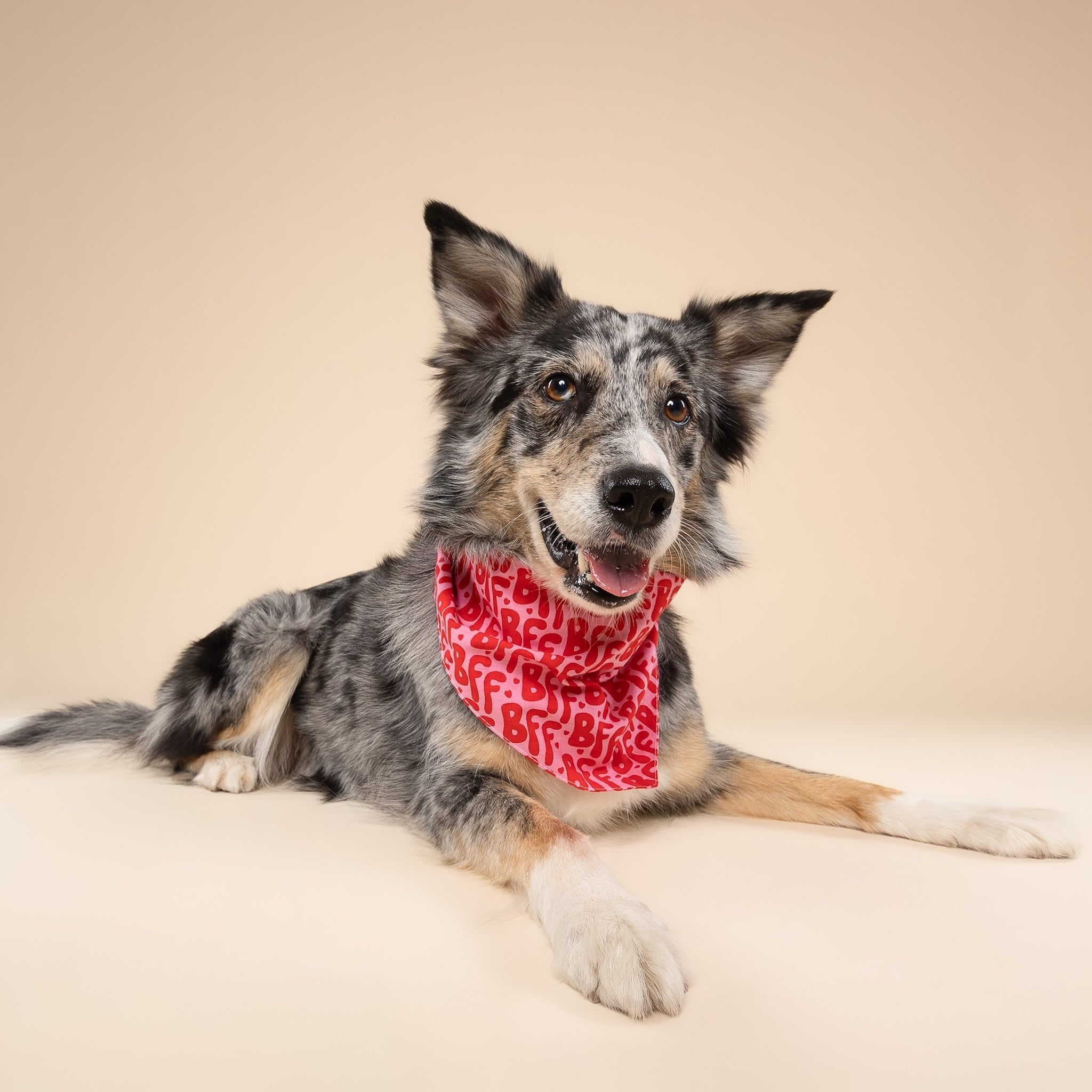 Valentine's Day And St. Patrick's Day Reversible Pet Bandanas - 100% Cotton - Slide On The Collar And Tie On - Washable