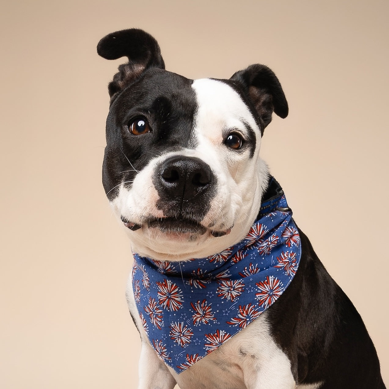 Fourth Of July Pet Bandanas - 100% Cotton - Slide On The Collar And Tie On - Washable