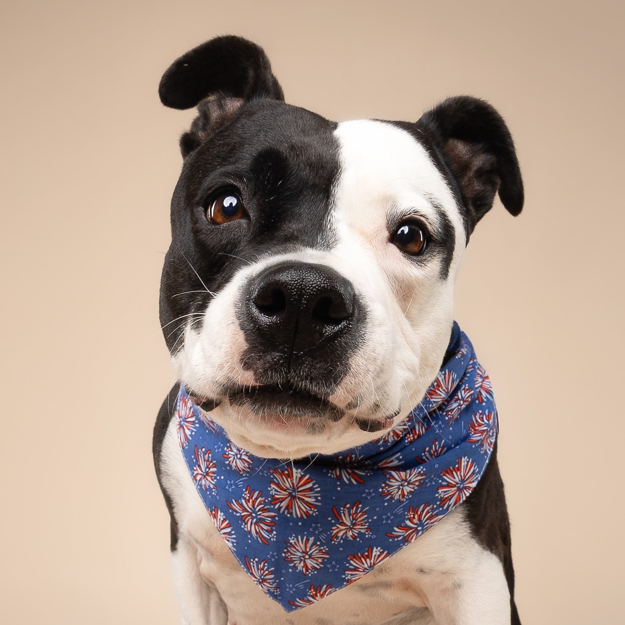 Fourth Of July Pet Bandanas - 100% Cotton - Slide On The Collar And Tie On - Washable