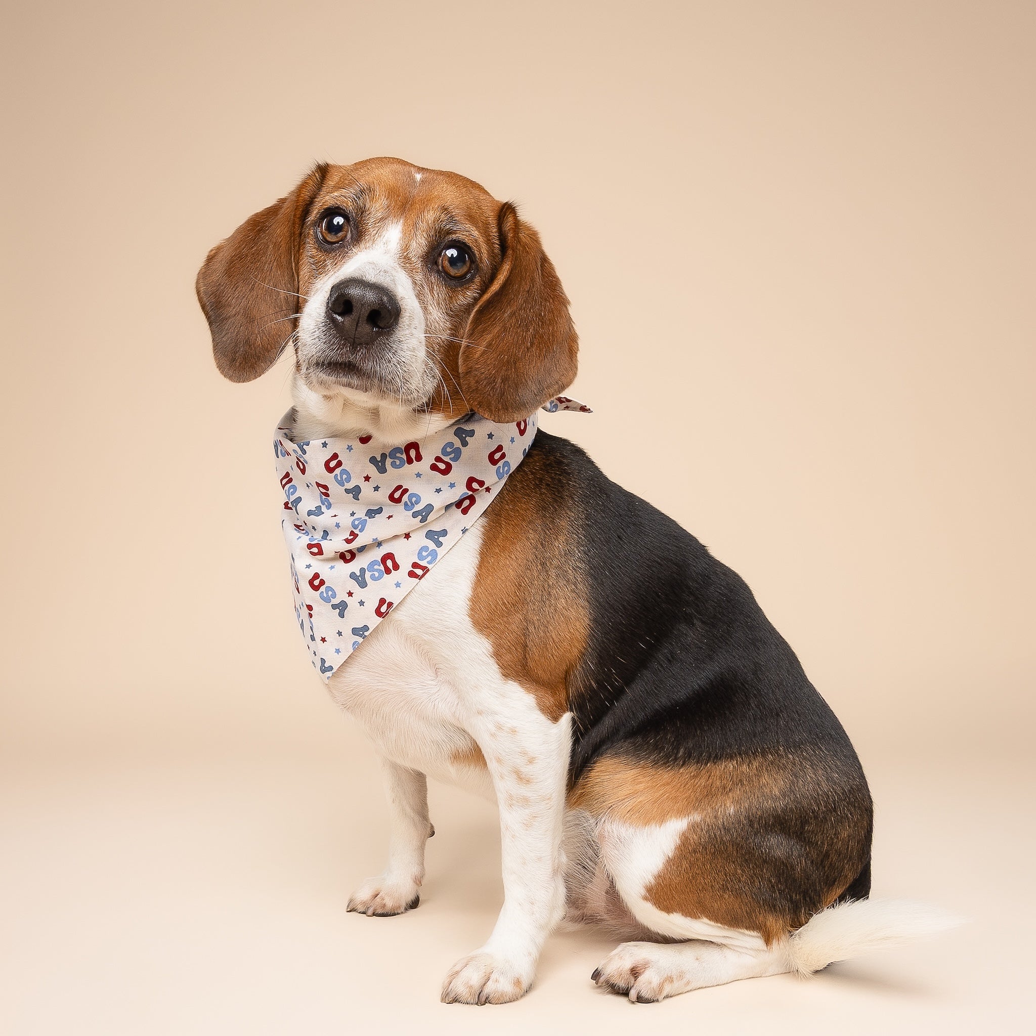 Fourth Of July Pet Bandanas - 100% Cotton - Slide On The Collar And Tie On - Washable