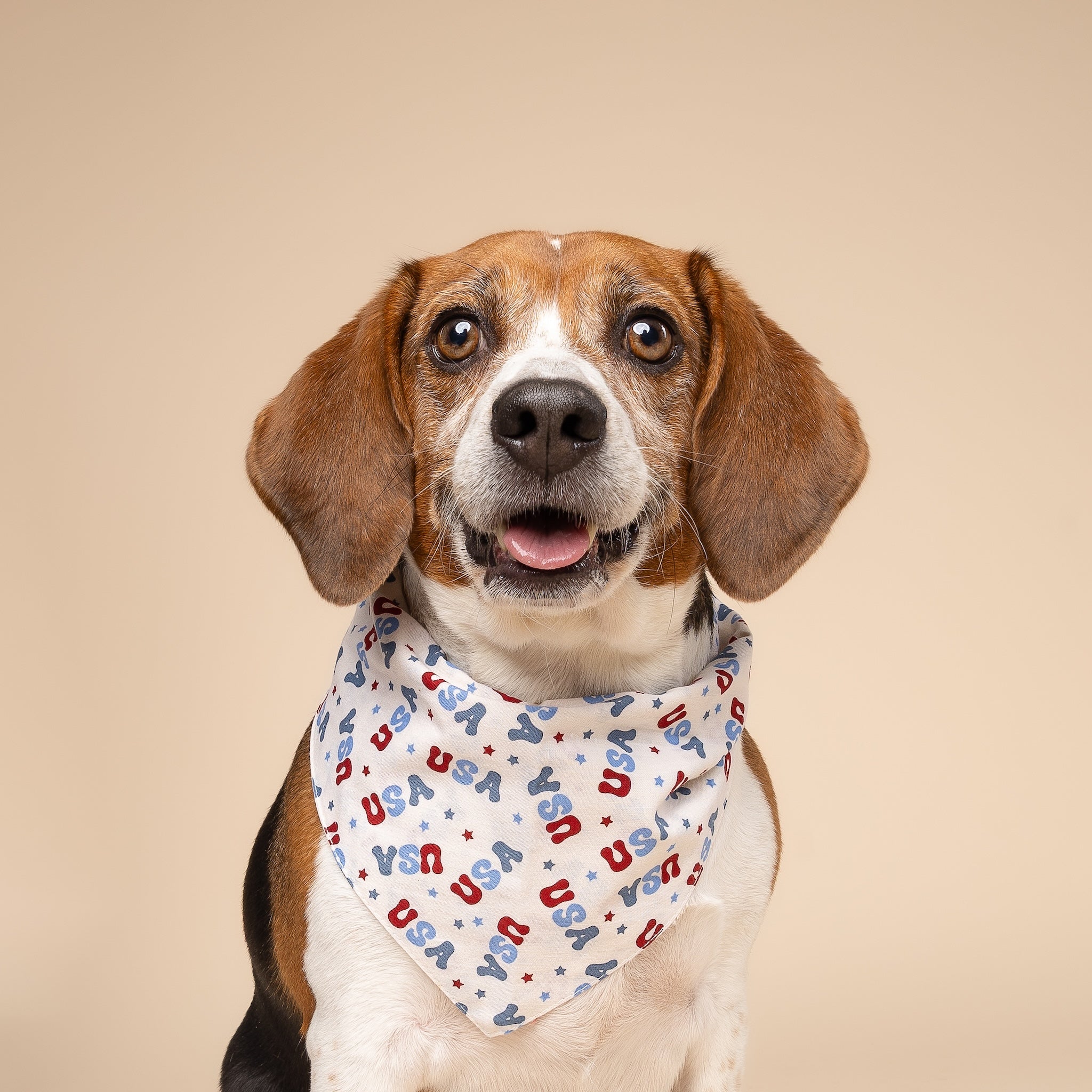Fourth Of July Pet Bandanas - 100% Cotton - Slide On The Collar And Tie On - Washable